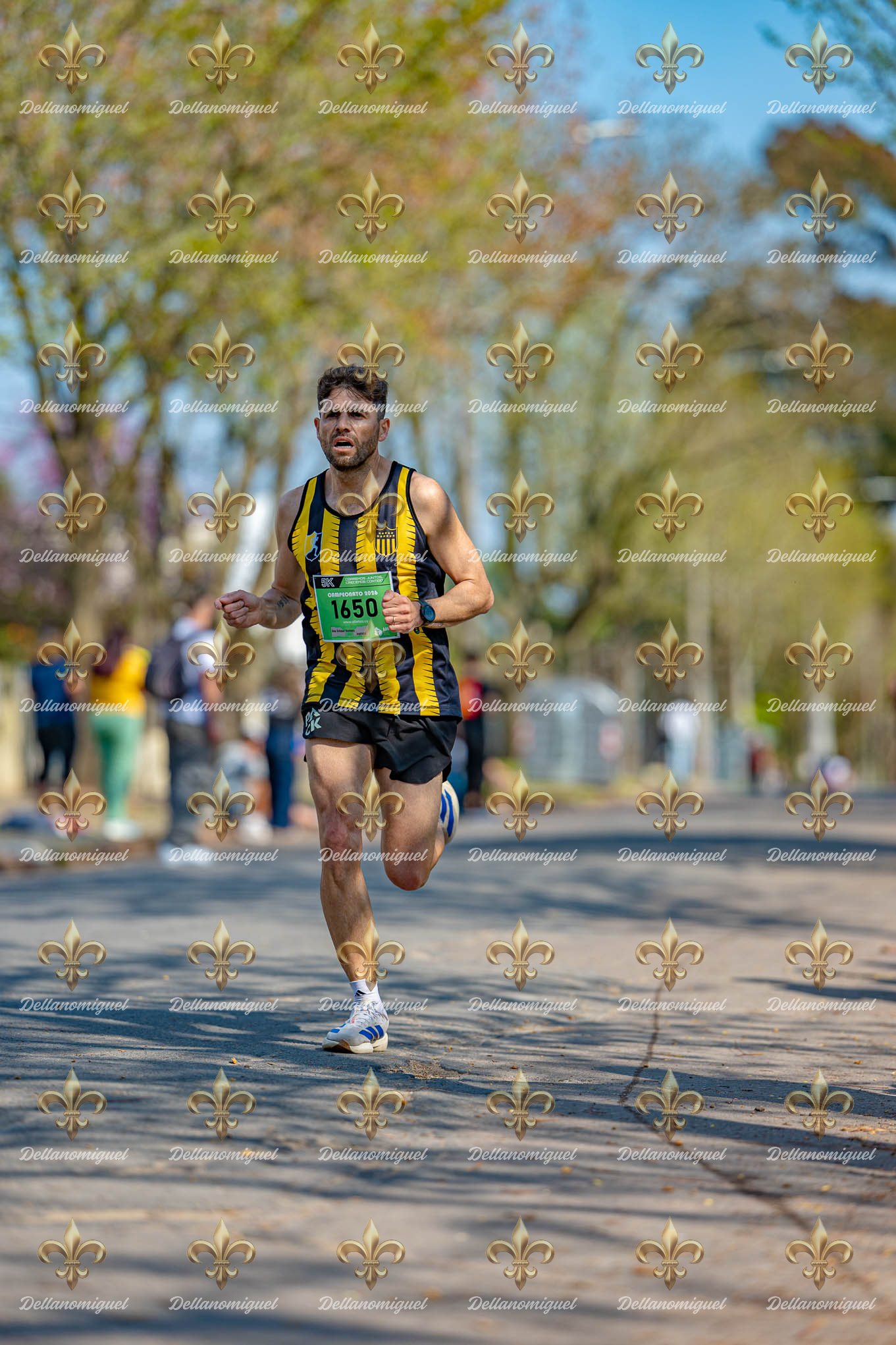 Corre Colon