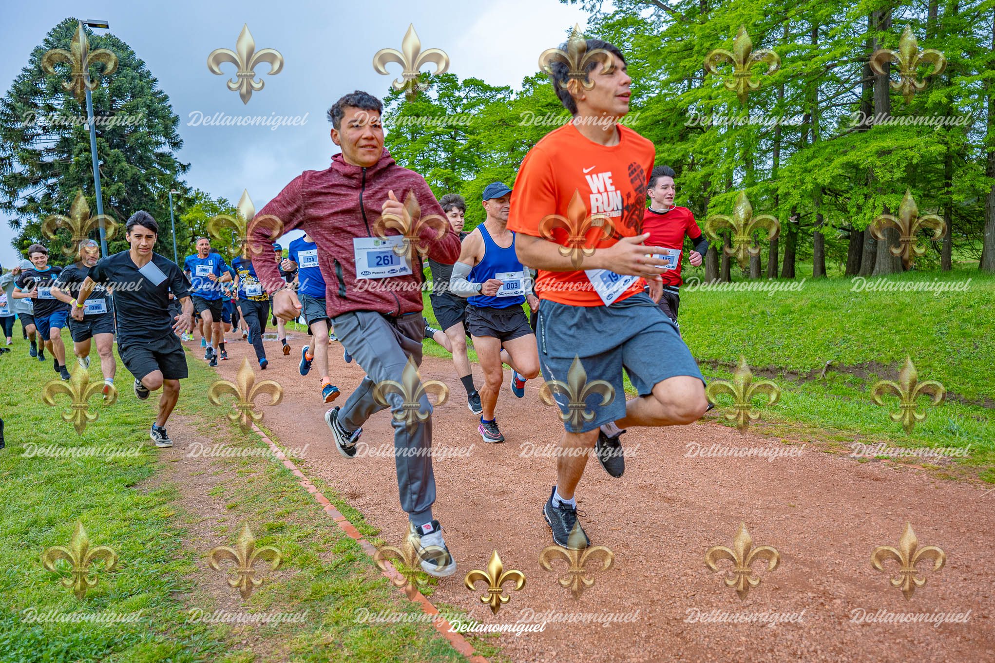CORRE PASO MOLINO