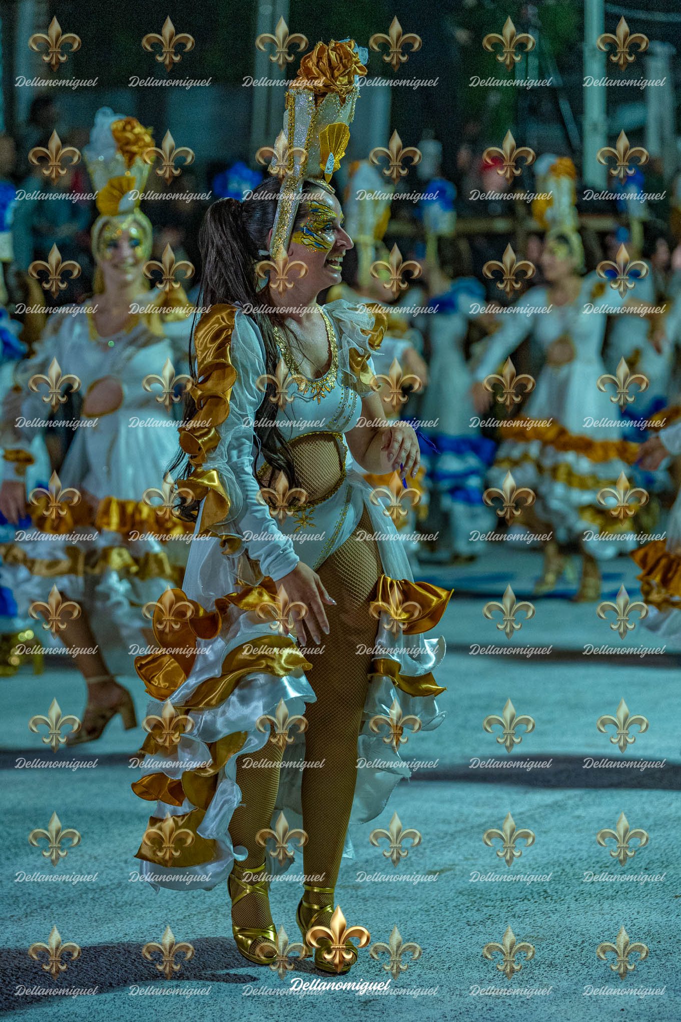llamadas de ansina