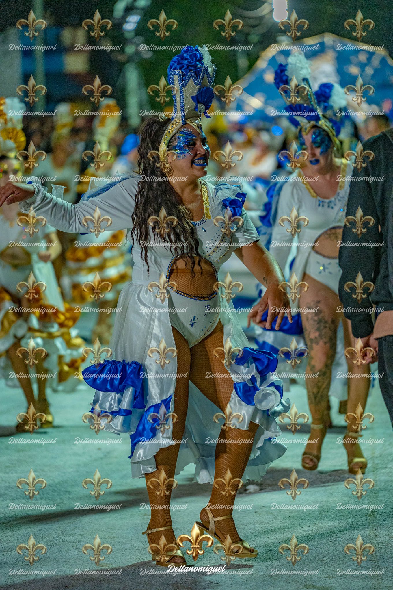 llamadas de ansina