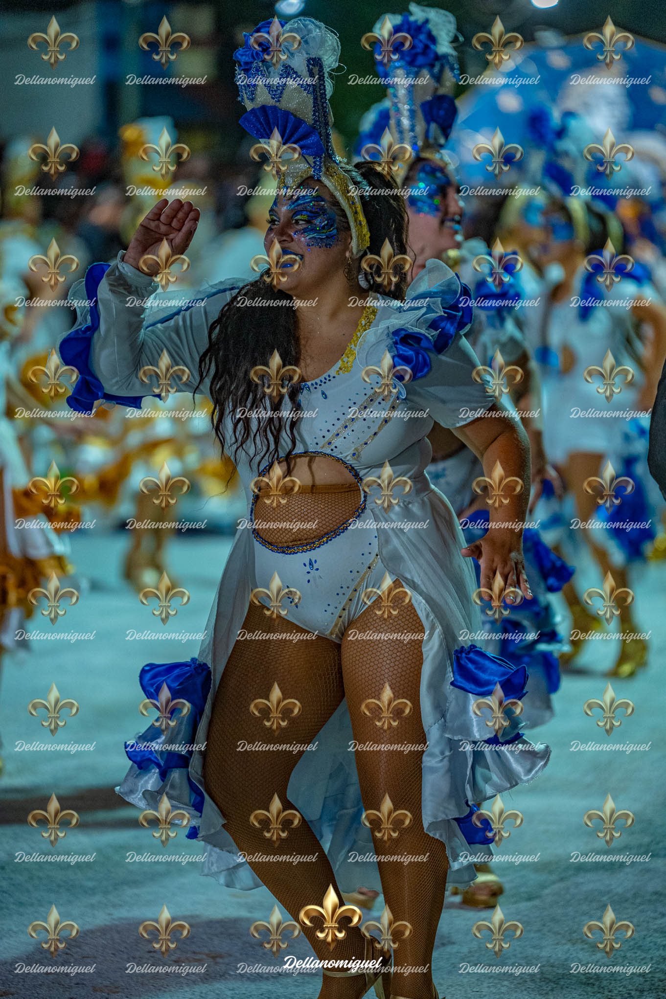 llamadas de ansina