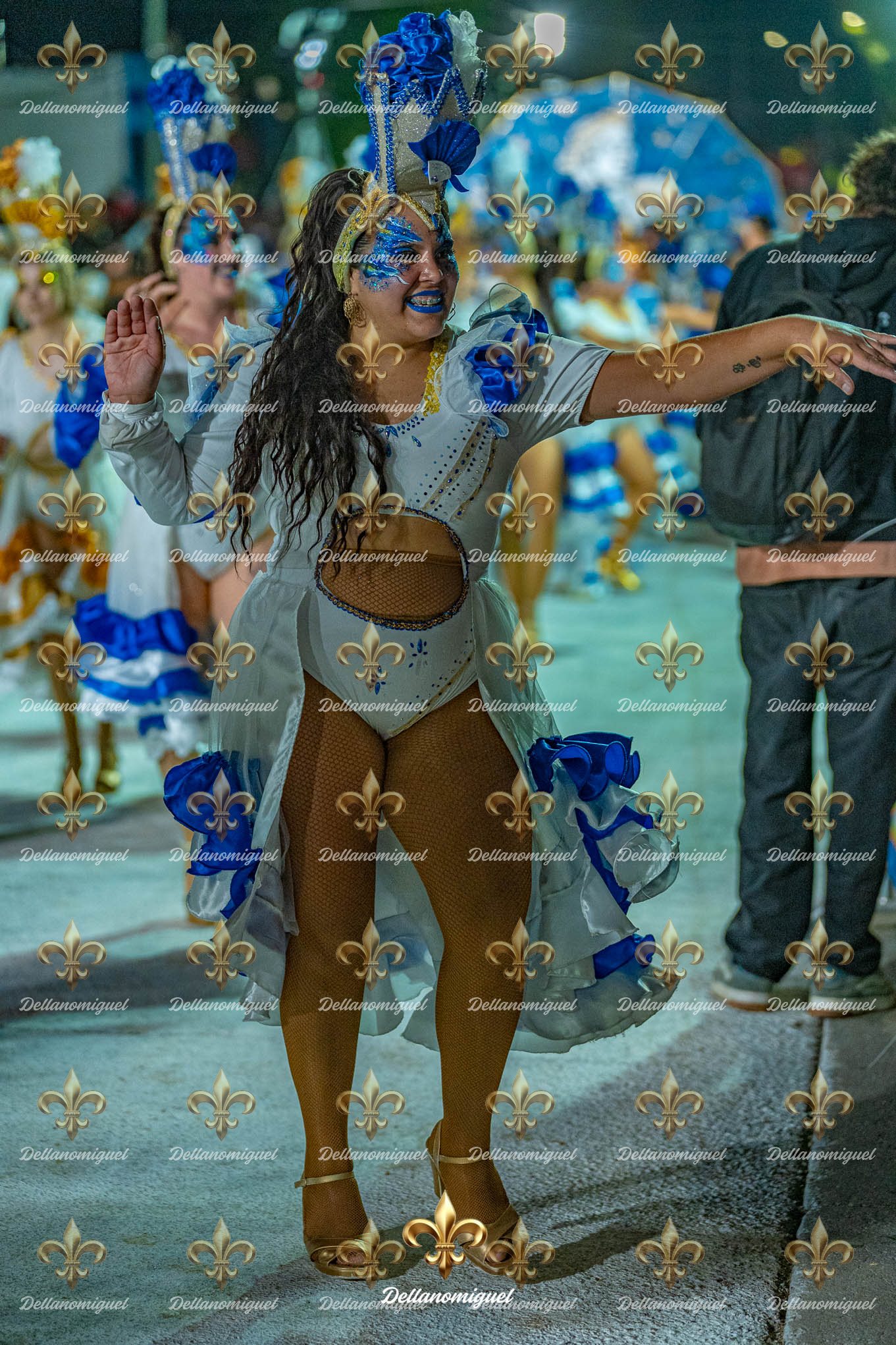 llamadas de ansina