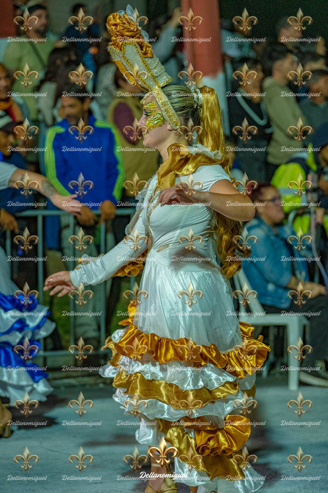 llamadas de ansina