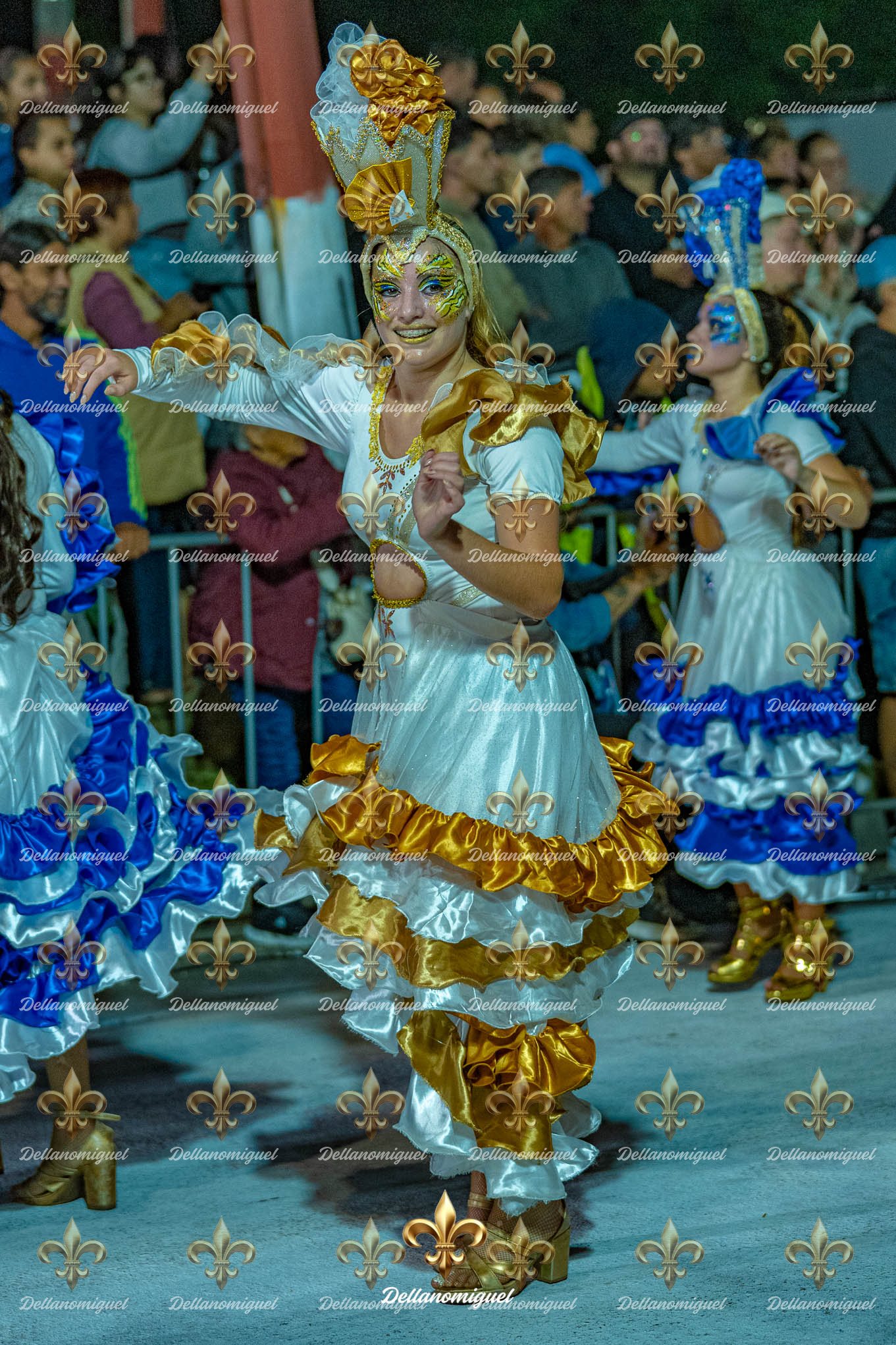 llamadas de ansina