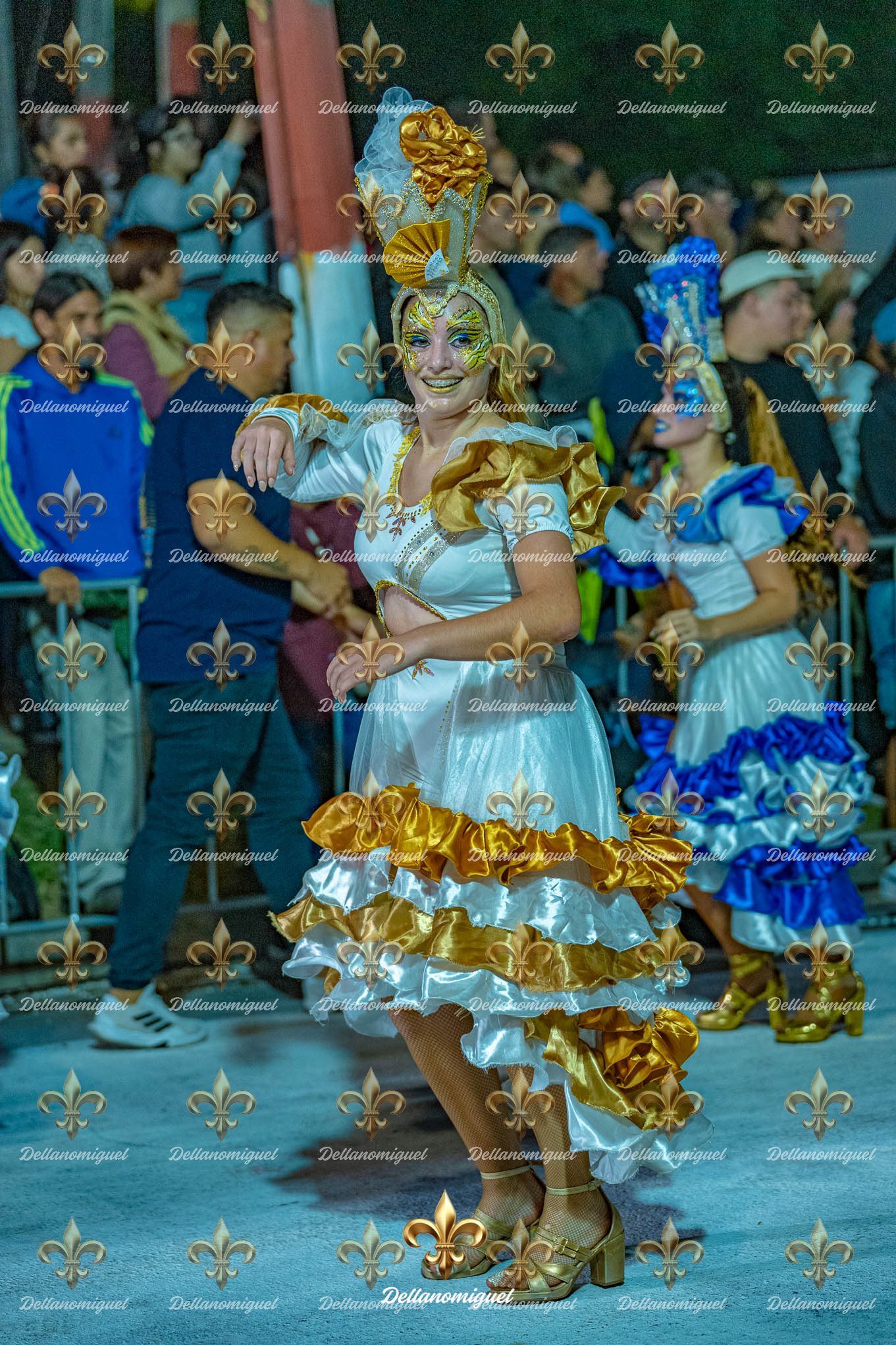 llamadas de ansina