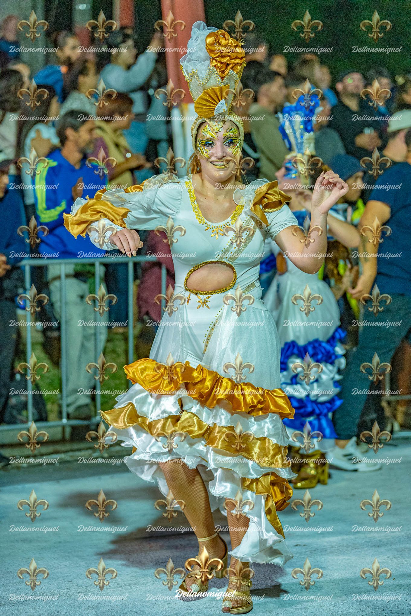 llamadas de ansina