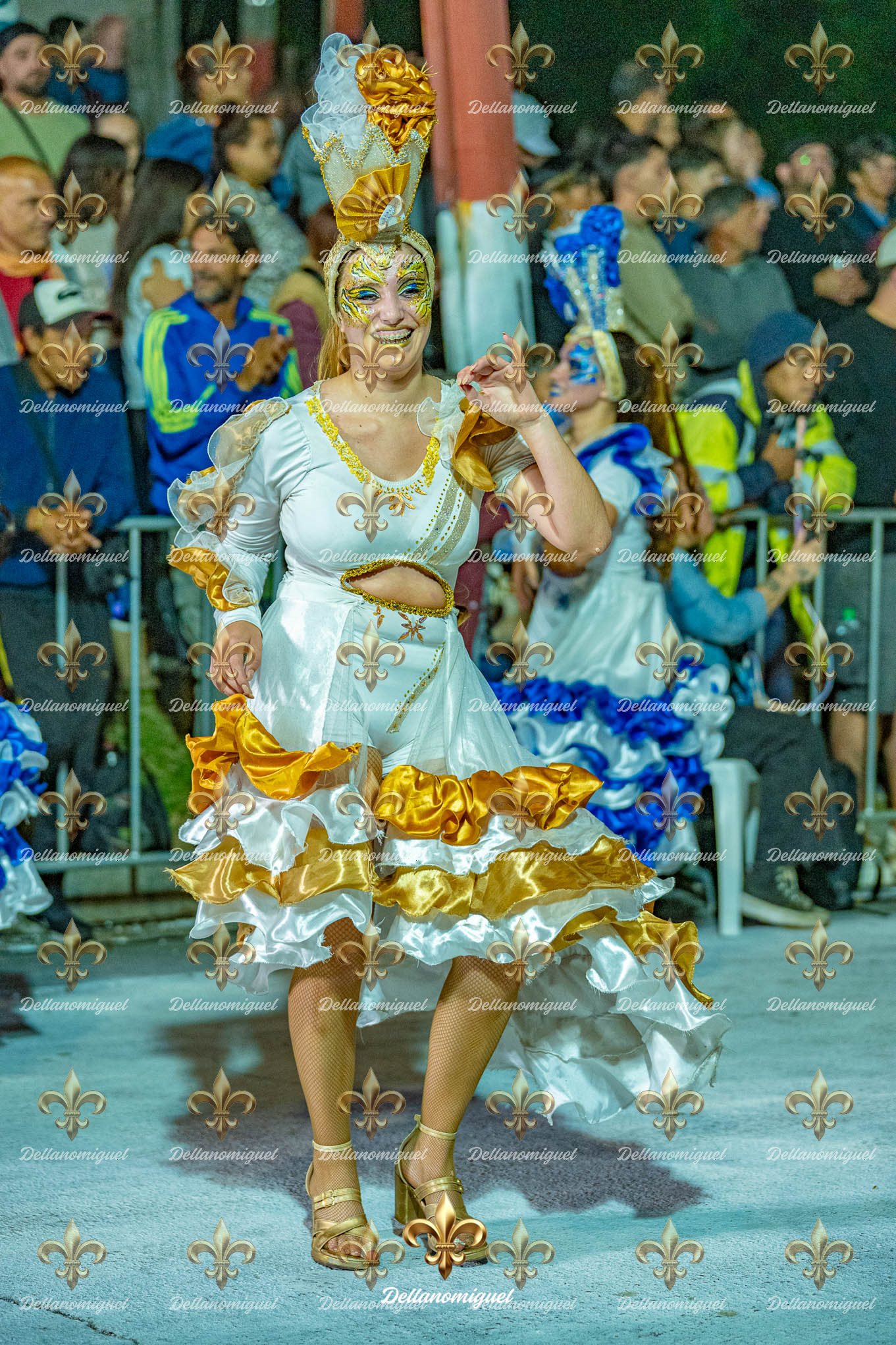 llamadas de ansina