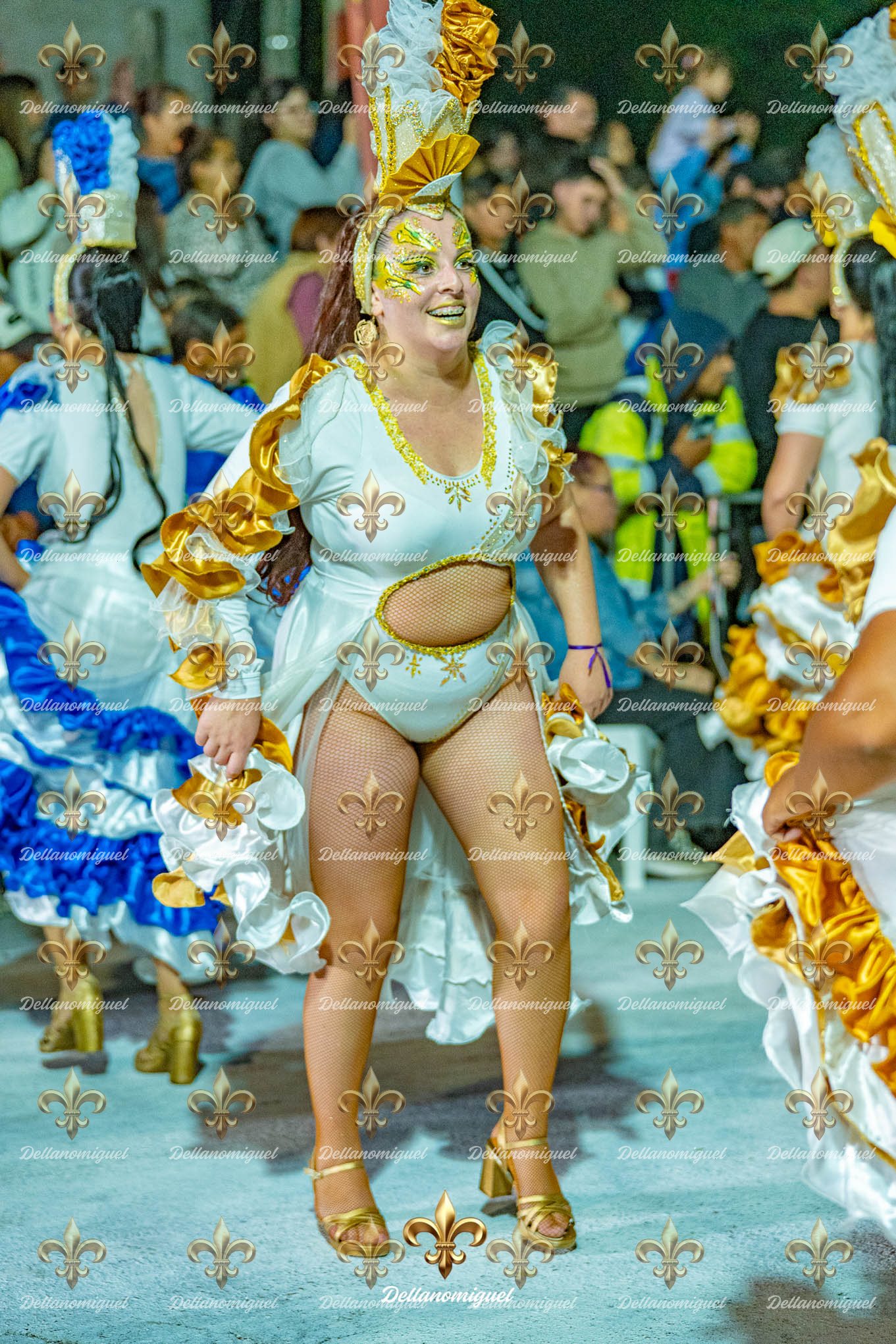 llamadas de ansina