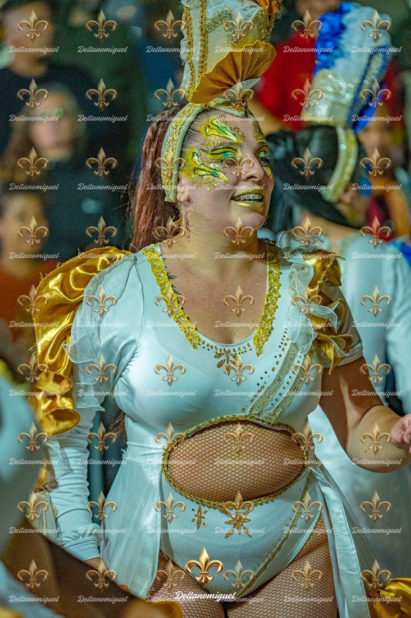 llamadas de ansina