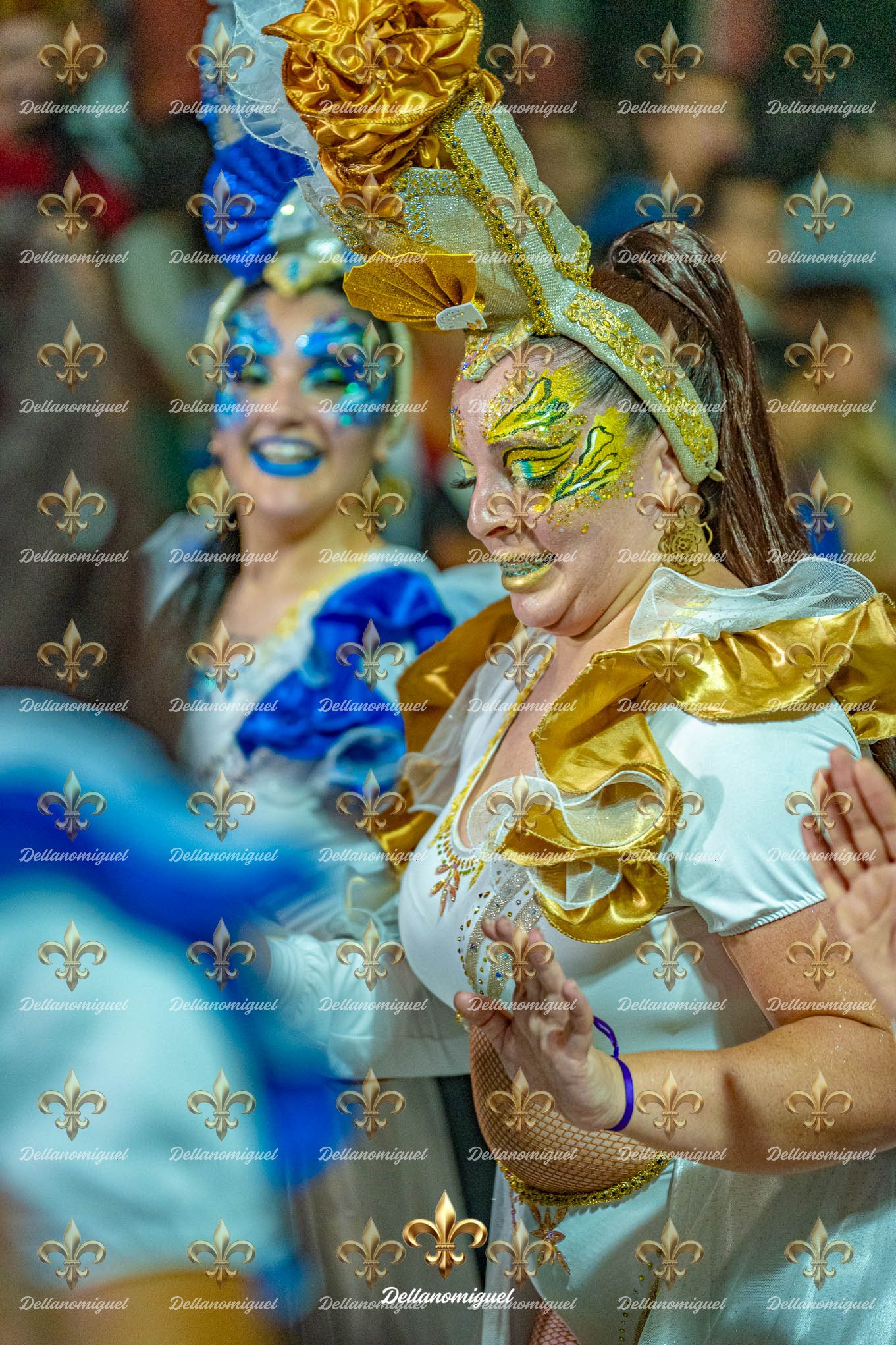 llamadas de ansina