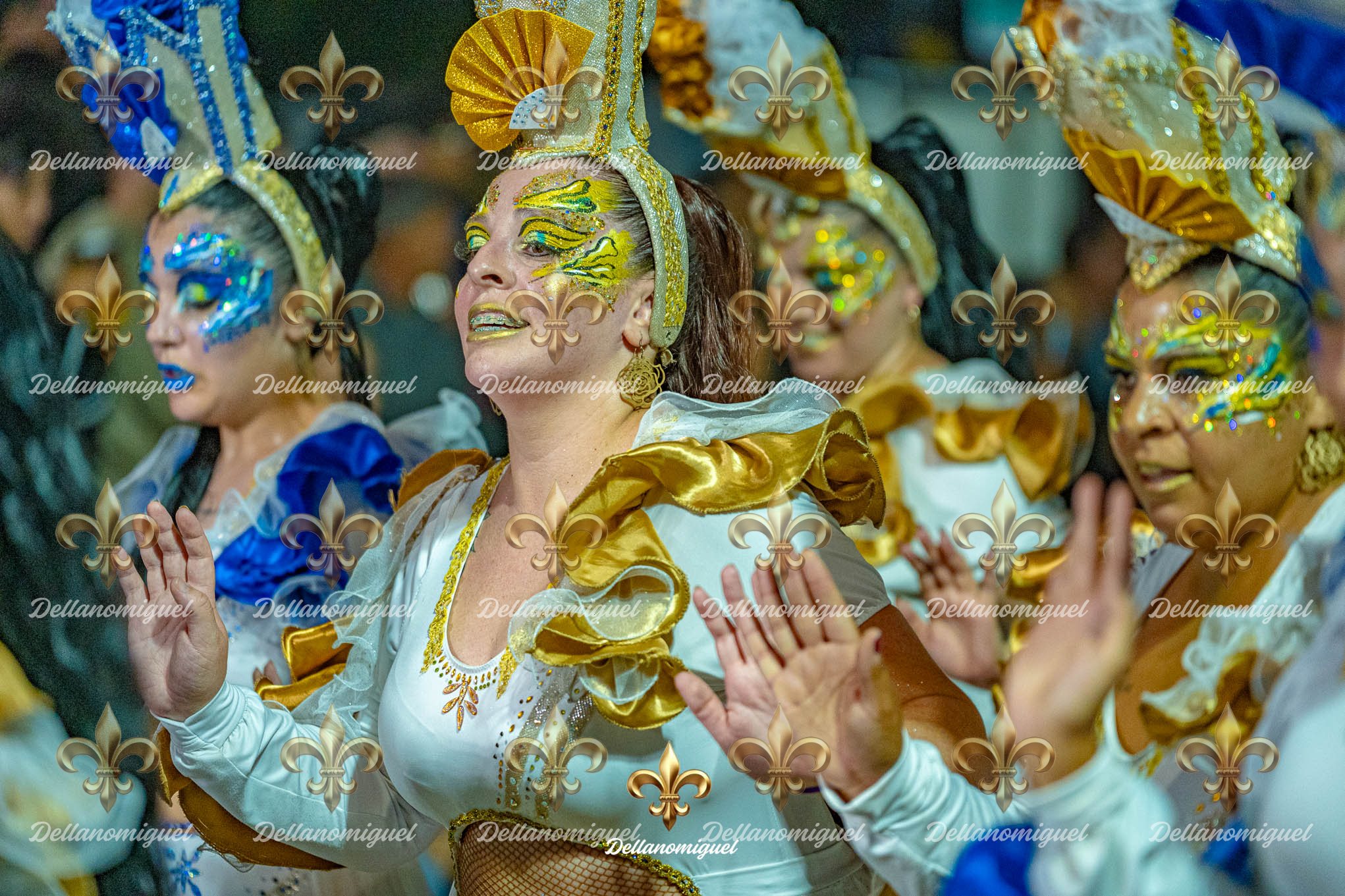 llamadas de ansina