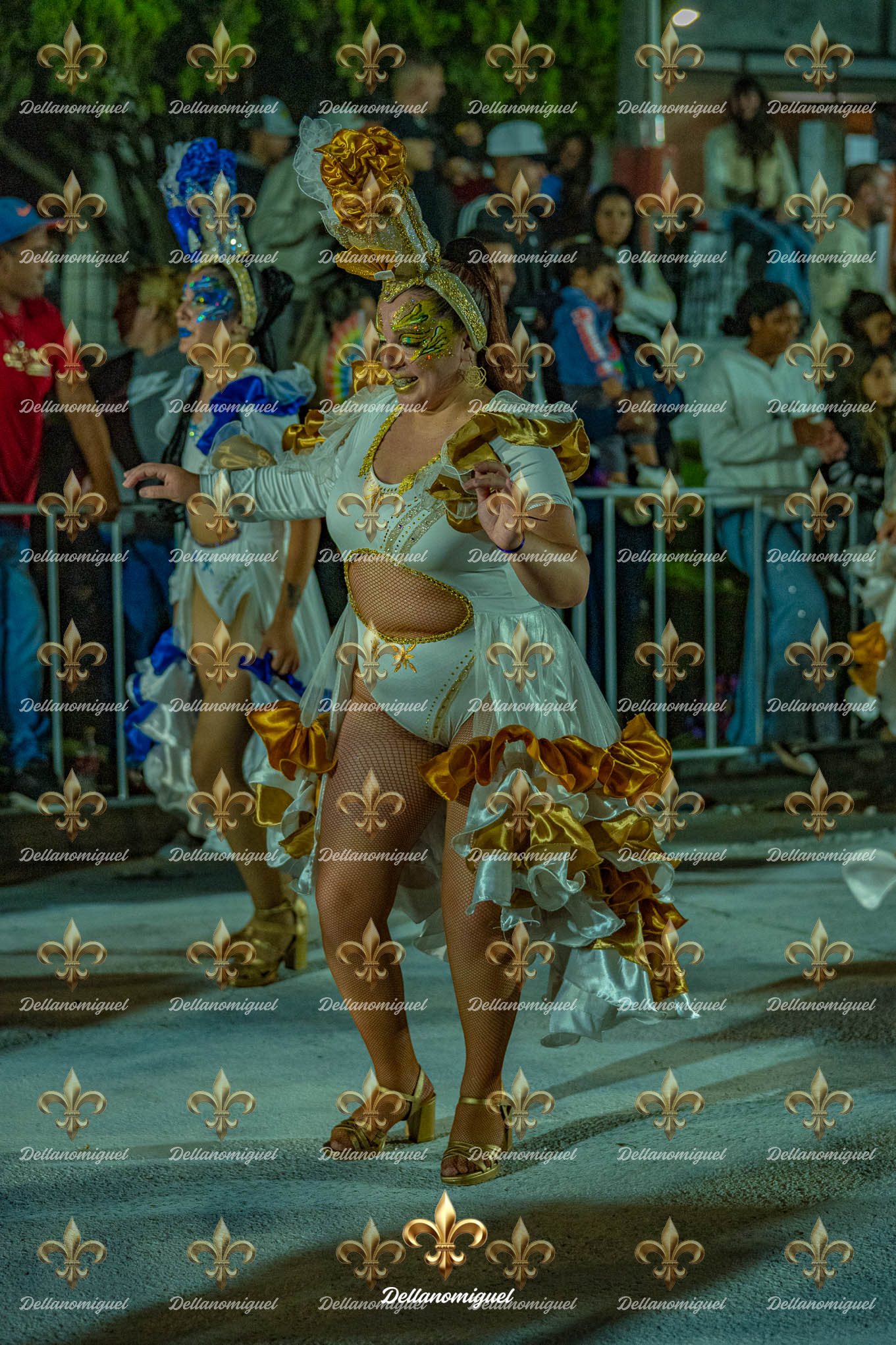 llamadas de ansina