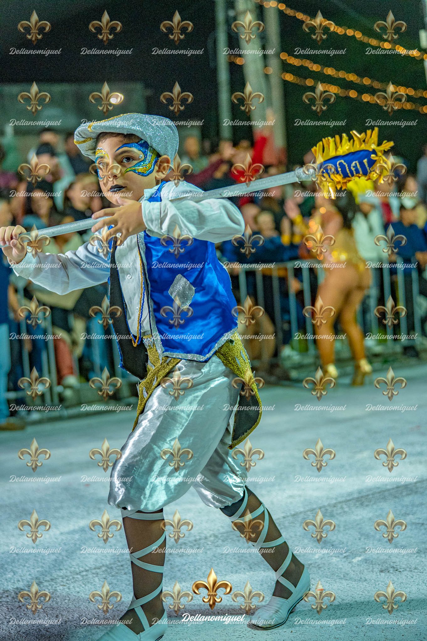 llamadas de ansina