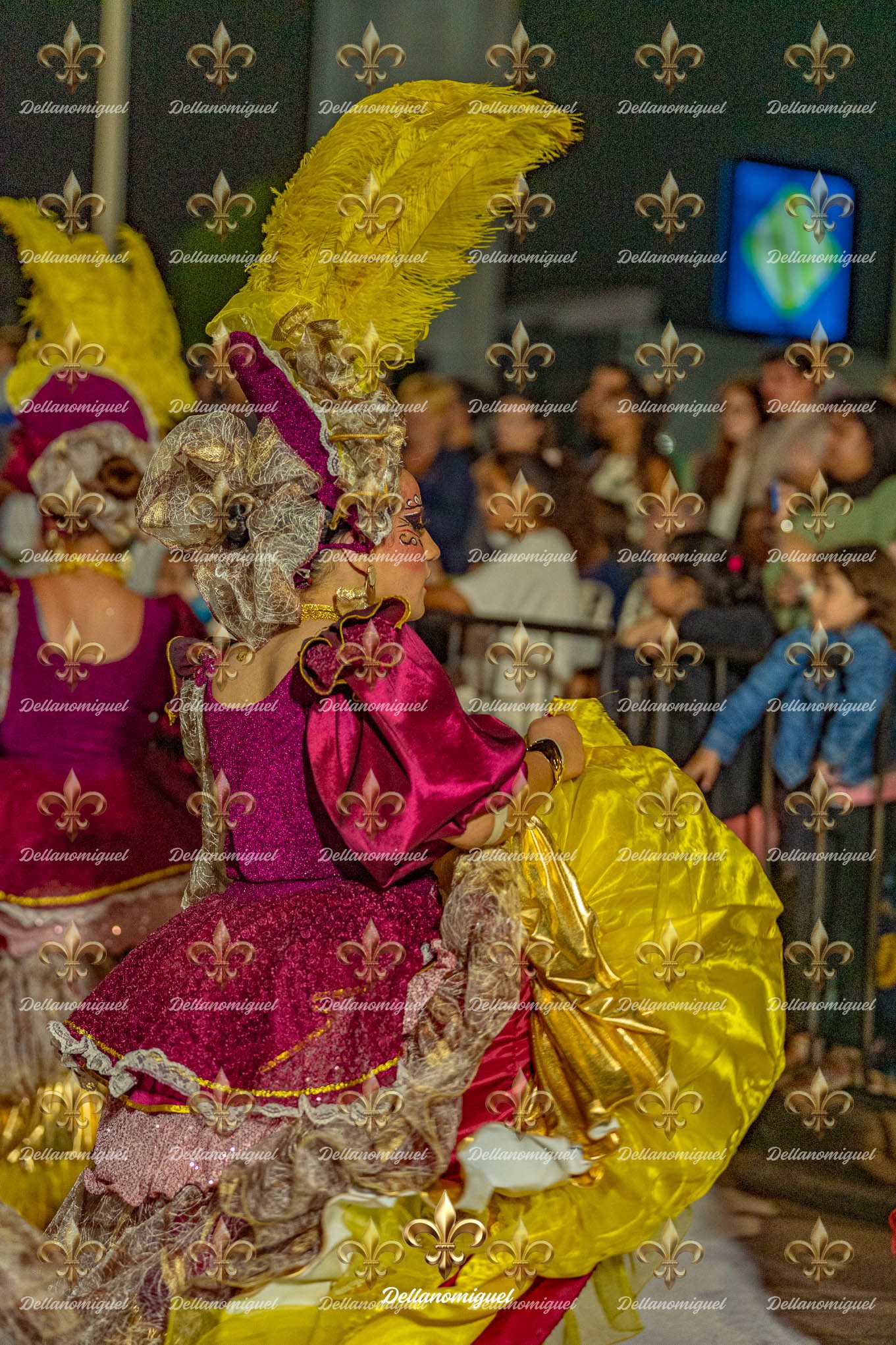 LONJAS EN  LA  COSTA