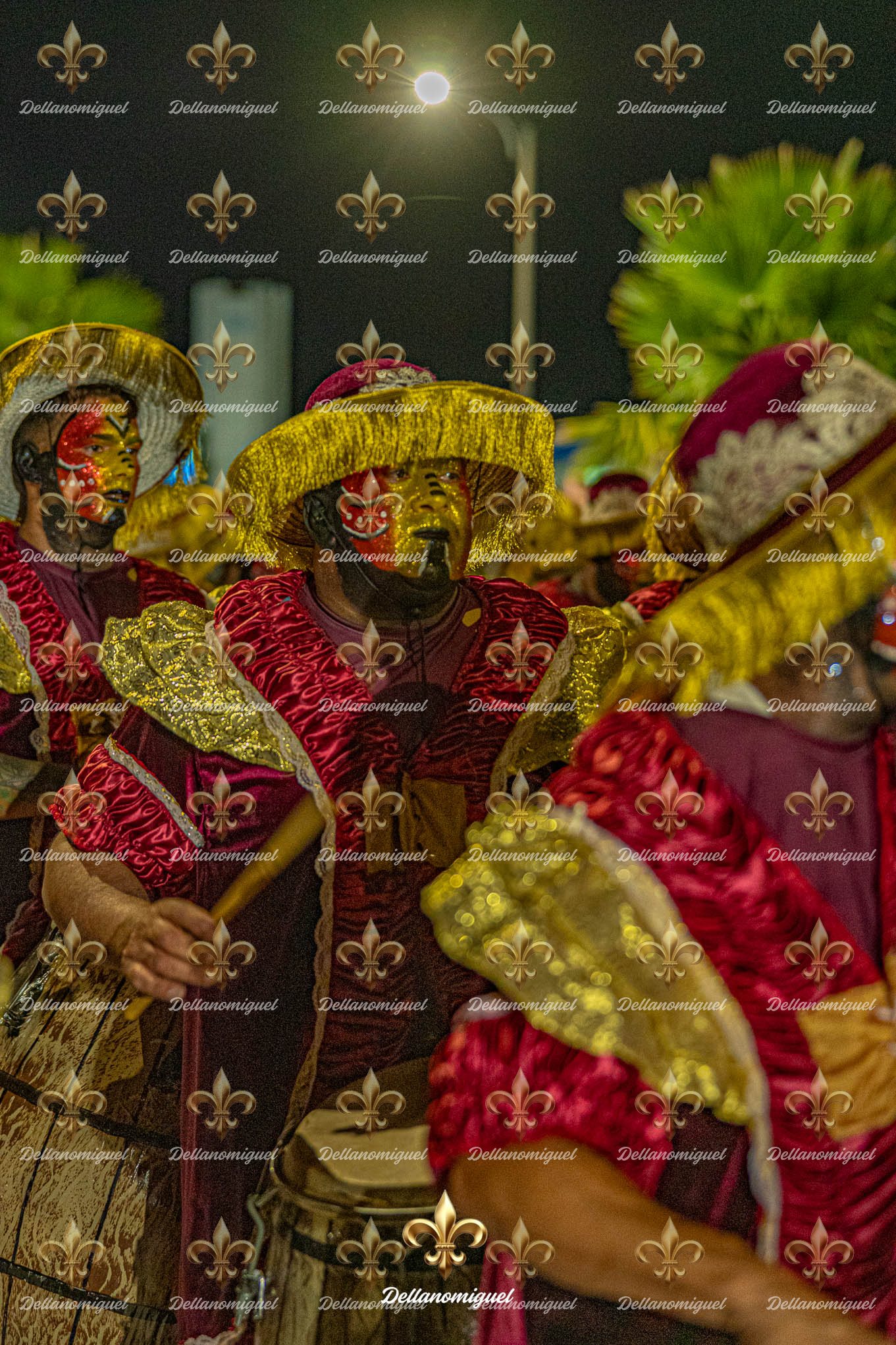 LONJAS EN  LA  COSTA